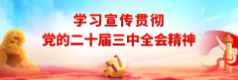 学习宣传贯彻党的二十届三中全会精神