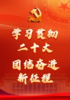 学习二十大精神